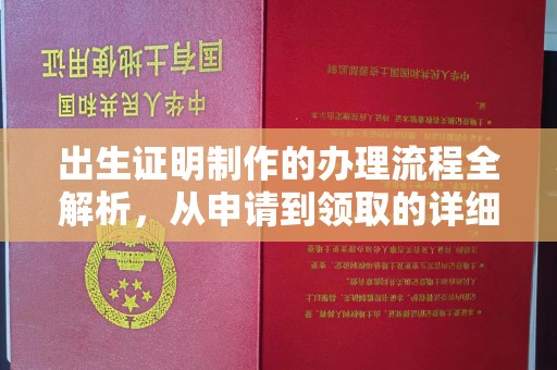 资源出生证明制作的办理流程全解析，从申请到领取的详细指南